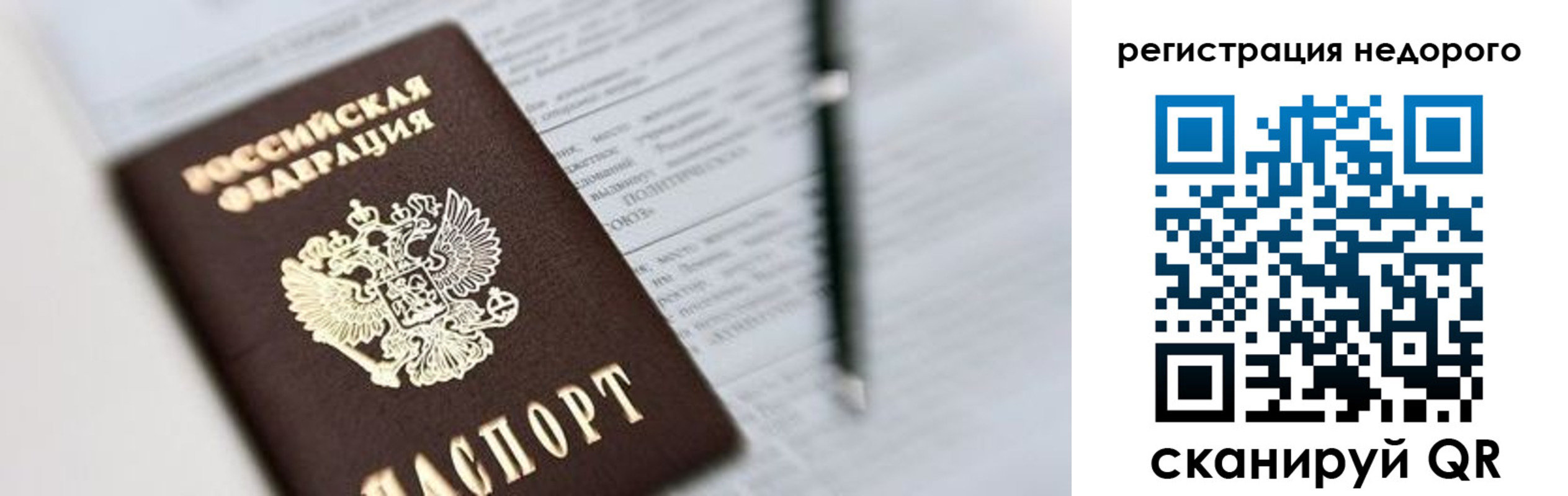 прописка гарантия в Ковдоре